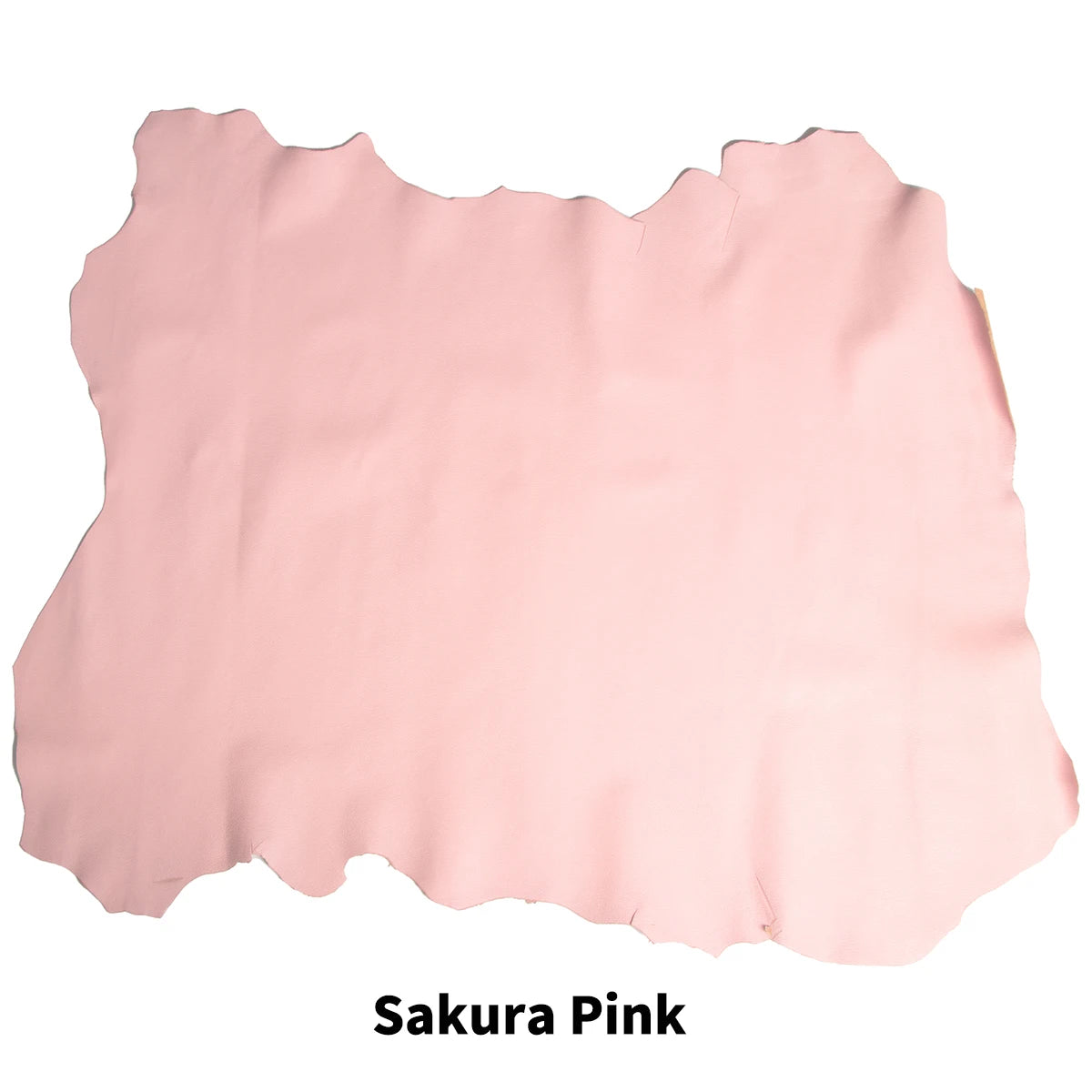 WUTA 6-10 square feet Vegetable Tanned Goatskin Leather Whole Goat Skin Genuine Leather No Holes & Cut for Arts Craft