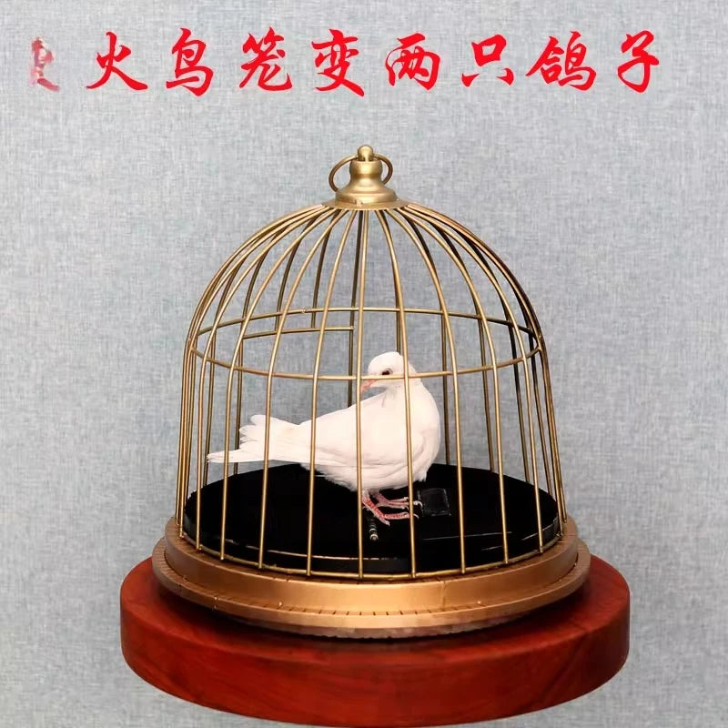 Magic props stage performance shock