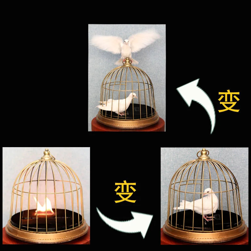 Magic props stage performance shock